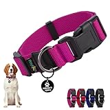 Image of Playexen PL0318 dog collar