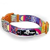Image of why andyou dog collar