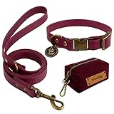 Image of Wisedog  dog collar