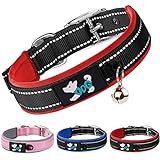 Image of AUAUY M1-3275264 dog collar