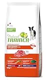 Image of Trainer 963165 dog food