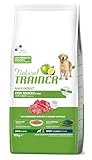 Image of Trainer 963166 dog food