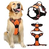 Image of HTTDSLF no dog harness