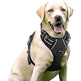 Image of rabbitgoo DTCW006L dog harness