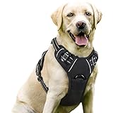 Image of rabbitgoo DTCW006L dog harness