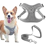 Image of TELAOBAN Y-Y1-0008 dog harness
