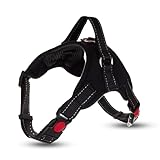 Image of ProjectFont PF-04 dog harness