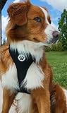 Image of Pet Mairim ZH0729-02 dog harness