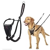 Image of Company of Animals 15220A dog harness