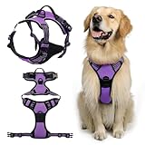 Image of DKDDSSS No dog harness