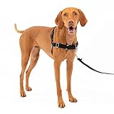 Image of PetSafe EW-H-M-BK-45 dog harness