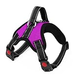 Picture of a dog harness