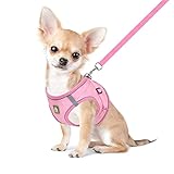 Image of FEimaX  dog harness