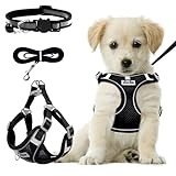 Image of RAFIYU LFYXA0190 dog harness