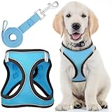 Image of EcoEarth EE-DHRN dog harness