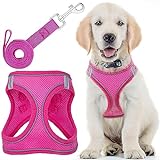 Image of EcoEarth EE-DHRN dog harness