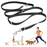 Picture of a dog leash