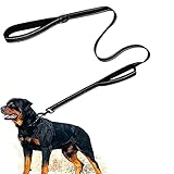 Another picture of a dog leash