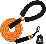 Image of CANDYDOG  dog leash