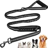 Image of Euqvunn Bungee Dog Lead Black dog leash