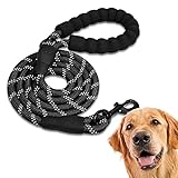 Image of Edipets 1 dog leash