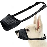 Image of badaren L dog muzzle