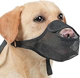 Image of ChAusa Grau-L dog muzzle