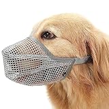 Image of Xinlie 036 dog muzzle