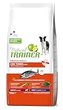 Image of Trainer 963176 dry dog food