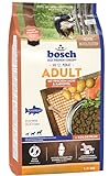 Image of bosch TIERNAHRUNG 4015598013277 dry dog food