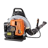 Image of chennnls 1 leaf blower