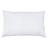 Image of Riva Home CPAD4050 pillow