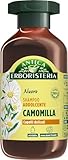 Image of Antica Erboristeria A9612 shampoo