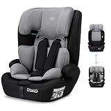 Image of nania toddler car seat