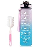 Image of Nutabevr FL-01 water bottle