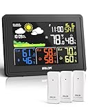 Image of BALDR W359-3 weather station