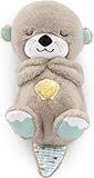Bild von Fisher-Price FXC66 Babywippe