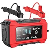Bild von EAFCar RJ-C120501A Batterieladegerät