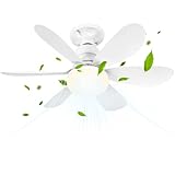 Bild von BuzzoXerex 1 Deckenventilator