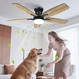 Bild von Airwit 60009 Deckenventilator