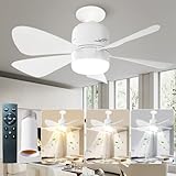 Bild von Revneey Deckenventilator