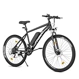 Bild von Touroll Touroll U1 E-Bike