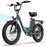 Bild von URLIFE E20 E-Bike