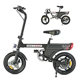 Bild von RAOO MIN LE003 E-Bike