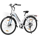 Bild von VARUN S700-2 E-Bike