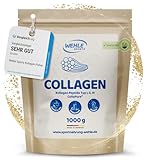 Bild von Wehle Sports Kollagen-Peptide-Wehle Eiweißpulver