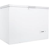Bild von Bauknecht GT 219 A3+ Gefriertruhe