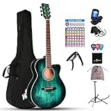 Bild von Winzz AF-H00LC-BL Gitarre