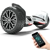 Bild von Bluewheel Electromobility G281 Hoverboard