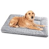 Bild von Baodan 90x60 Grau Hundebett